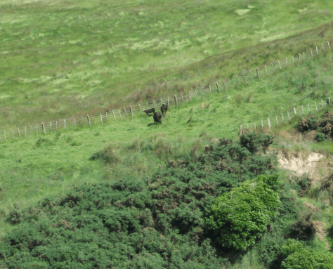 Screen Shot 2015-12-13 at 12.09.09 pm