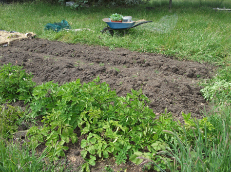 Screen Shot 2015-12-13 at 12.10.15 pm