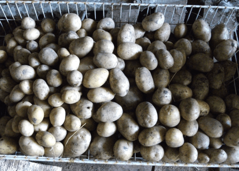 Screen Shot 2015-12-13 at 12.10.35 pm