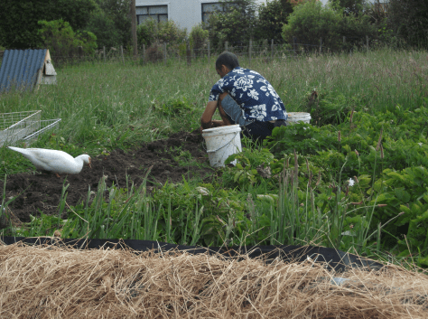 Screen Shot 2015-12-16 at 6.53.20 am