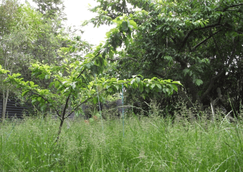 Screen Shot 2015-12-16 at 6.54.36 am