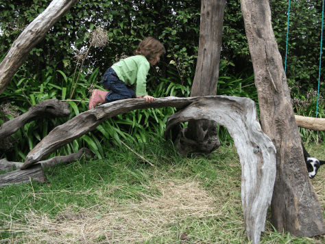 Screen Shot 2015-12-18 at 9.17.20 am