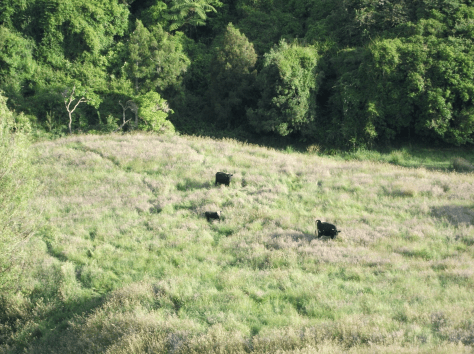 Screen Shot 2015-12-21 at 10.27.44 am