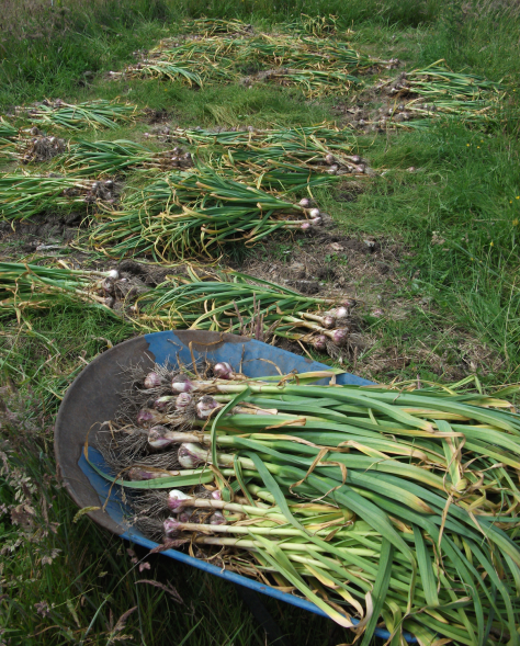 Screen Shot 2015-12-24 at 5.49.35 am