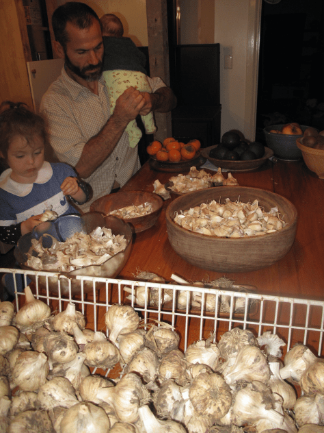 Screen Shot 2015-12-26 at 8.22.36 pm