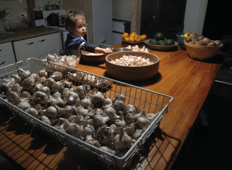 Screen Shot 2015-12-26 at 8.23.32 pm