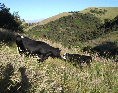 Screen Shot 2015-12-28 at 6.01.40 am