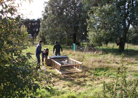 Screen Shot 2015-12-30 at 9.15.19 am