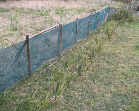 Screen Shot 2016-01-03 at 3.33.07 pm