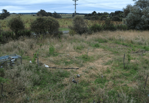 Screen Shot 2016-01-03 at 3.33.53 pm