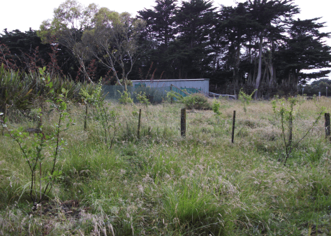 Screen Shot 2016-01-03 at 3.34.25 pm