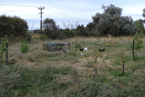 Screen Shot 2016-01-03 at 3.34.47 pm