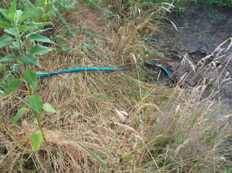 Screen Shot 2016-01-18 at 11.10.01 am