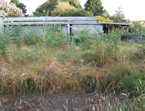 Screen Shot 2016-01-18 at 11.10.15 am