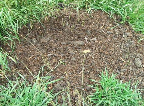 Screen Shot 2016-01-27 at 5.27.46 pm