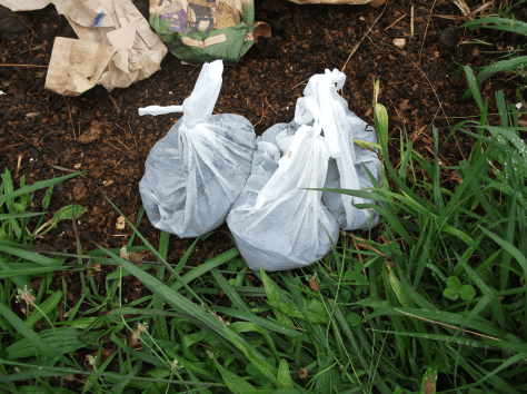 Screen Shot 2016-01-27 at 5.29.10 pm