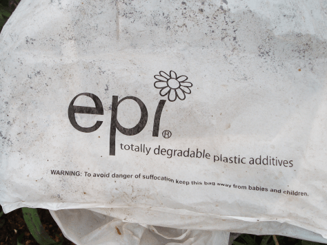 Screen Shot 2016-01-27 at 5.29.30 pm