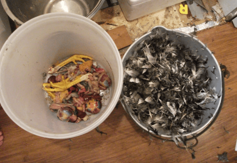 Screen Shot 2016-01-27 at 5.29.58 pm