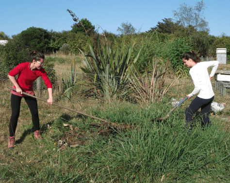 Screen Shot 2016-02-27 at 7.38.25 am