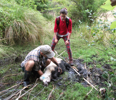 Screen Shot 2016-03-09 at 6.28.44 am