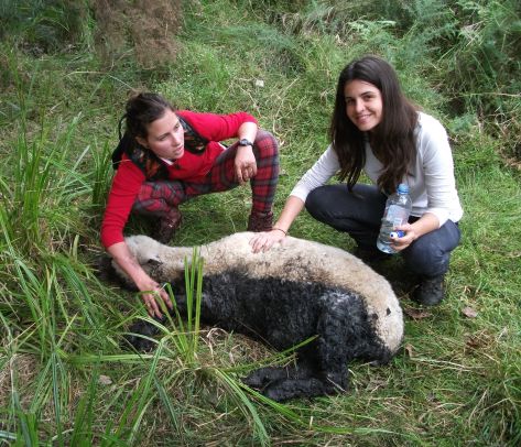 Screen Shot 2016-03-09 at 6.29.06 am