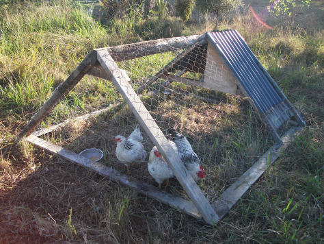 Screen Shot 2016-03-13 at 7.20.21 am