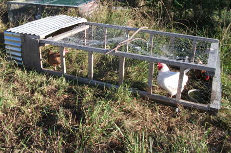 Screen Shot 2016-03-13 at 7.35.47 am