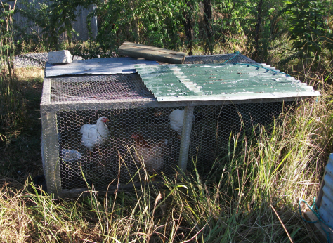 Screen Shot 2016-03-13 at 7.35.56 am