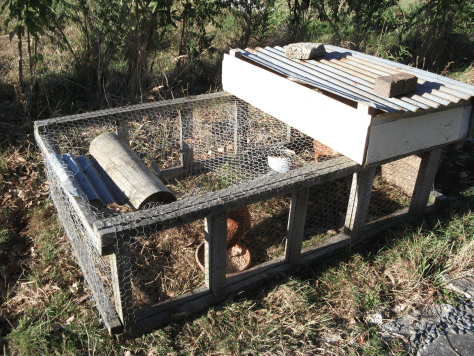 Screen Shot 2016-03-13 at 7.36.04 am