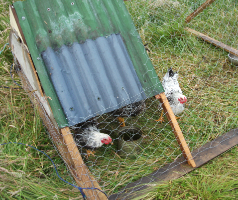 Screen Shot 2016-03-13 at 9.13.41 am