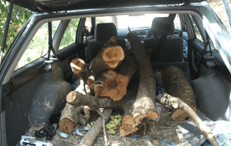 Screen Shot 2016-03-15 at 10.46.17 am