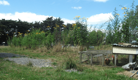 Screen Shot 2016-03-20 at 6.46.26 am