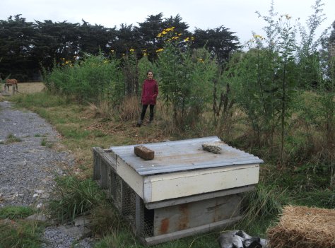 Screen Shot 2016-03-20 at 6.48.34 am