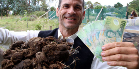 Screen Shot 2016-04-01 at 5.22.13 pm