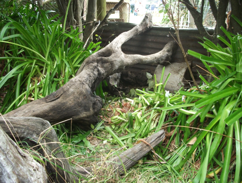 Screen Shot 2016-04-17 at 6.32.37 am