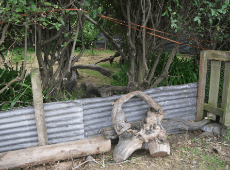 Screen Shot 2016-04-17 at 6.32.47 am