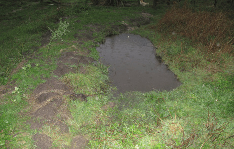 Screen Shot 2016-04-24 at 6.56.22 am