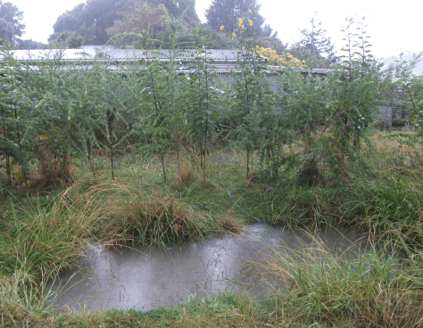 Screen Shot 2016-04-24 at 6.58.37 am