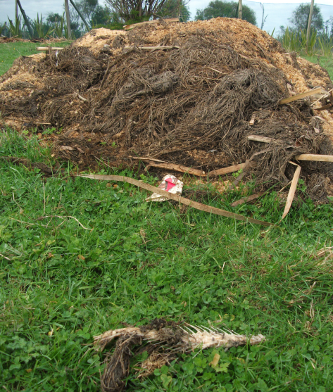 Screen Shot 2016-05-14 at 7.05.58 am