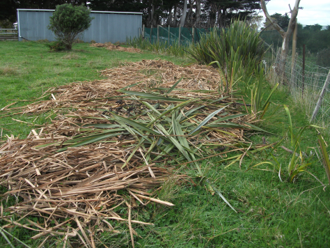 Screen Shot 2016-05-14 at 7.06.26 am