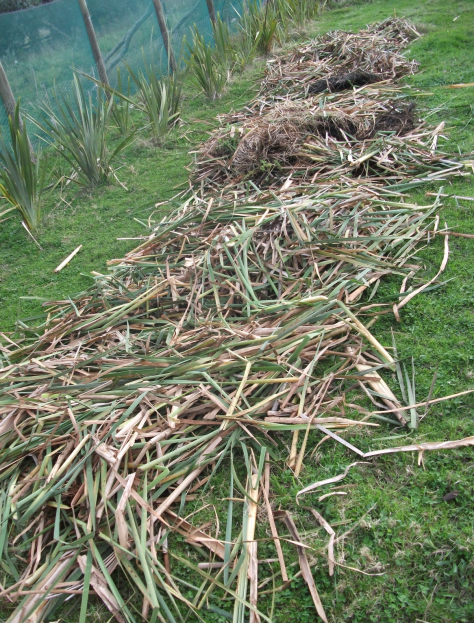 Screen Shot 2016-05-14 at 7.07.09 am