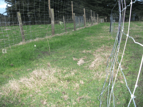 Screen Shot 2016-05-26 at 5.33.45 pm