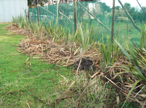 Screen Shot 2016-05-26 at 5.34.36 pm