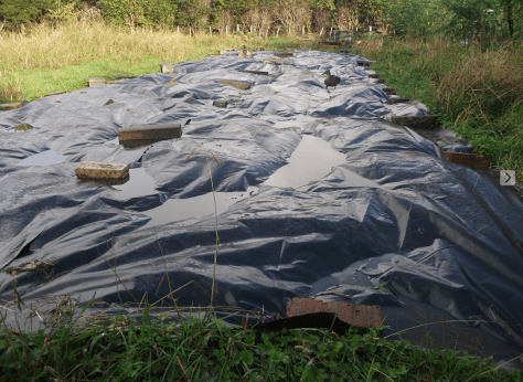 Screen Shot 2016-05-26 at 5.34.51 pm