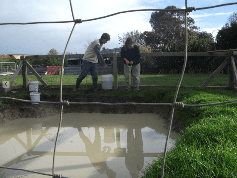 Screen Shot 2016-05-26 at 5.36.57 pm