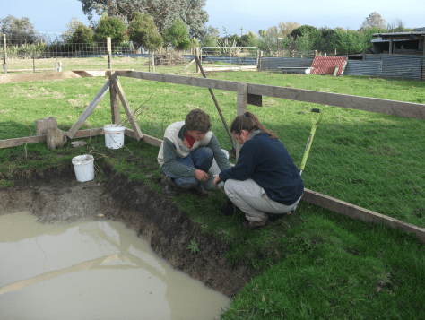 Screen Shot 2016-05-26 at 5.37.21 pm