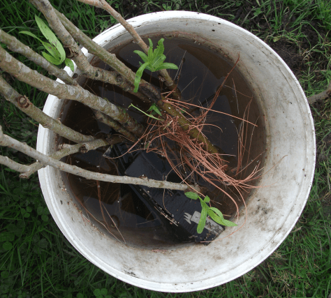 Screen Shot 2016-05-26 at 5.37.34 pm