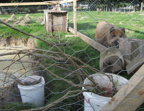 Screen Shot 2016-05-26 at 5.37.48 pm