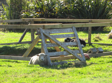 Screen Shot 2016-05-31 at 10.38.17 am