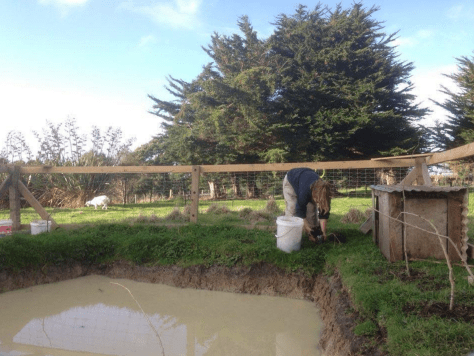 Screen Shot 2016-05-31 at 10.38.26 am